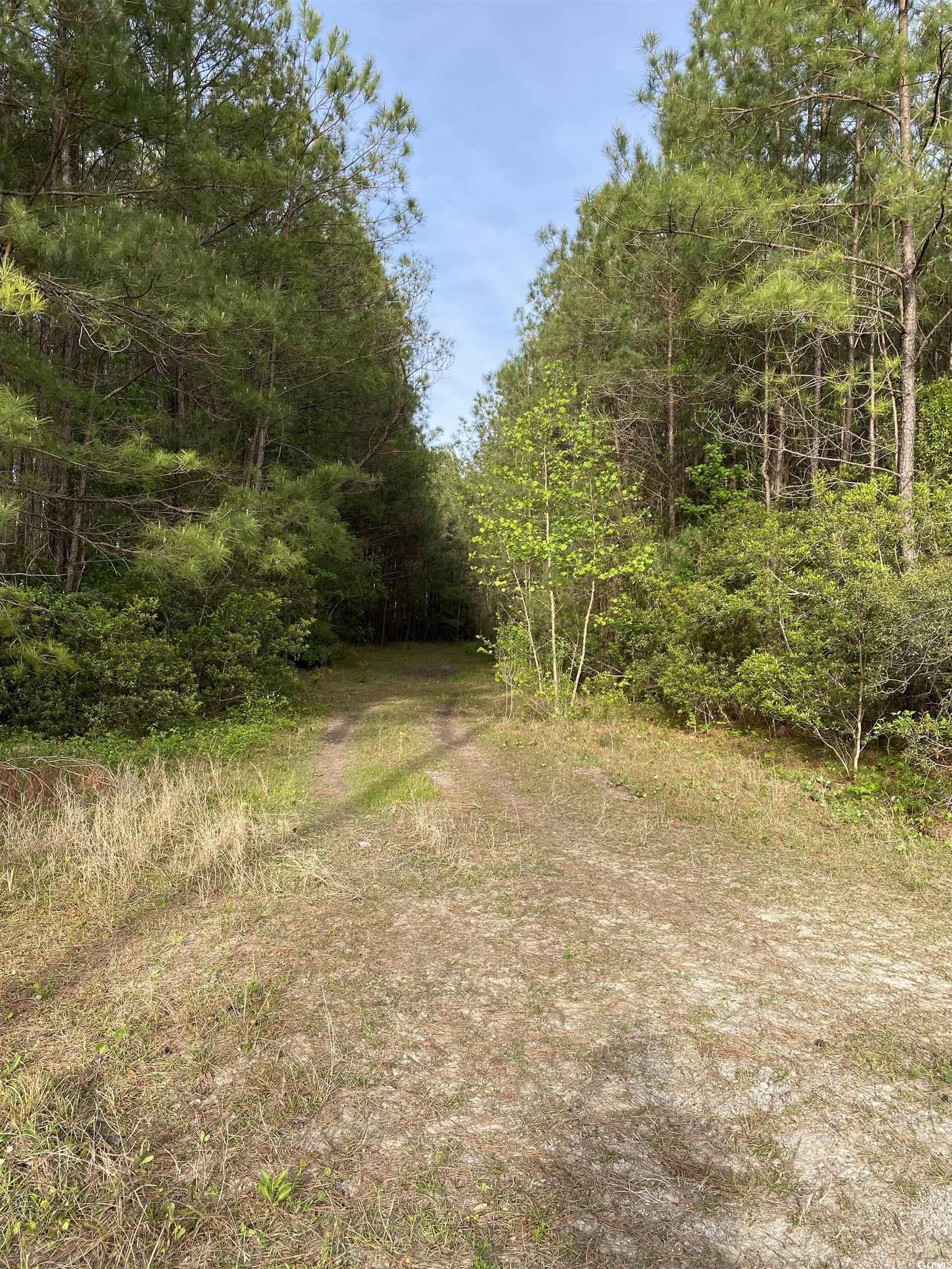 country living at its best and close to the beautiful town of conway. wonderful potential for home/farm on 9.61 acres with easy access to all that this location has to offer. zoned cfa so it has a multitude of uses.