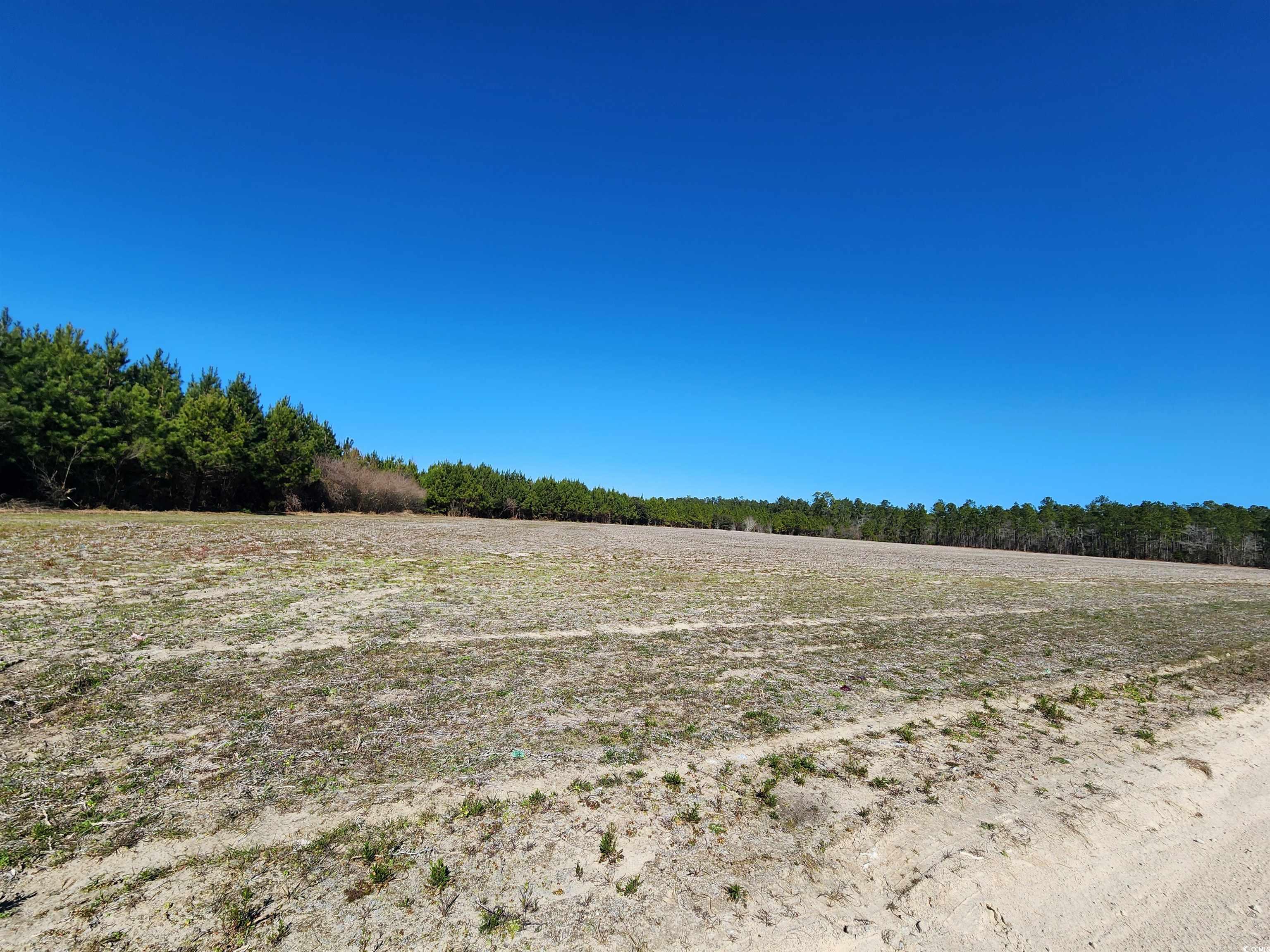 TBD Tansy Rd. Loris, SC 29569