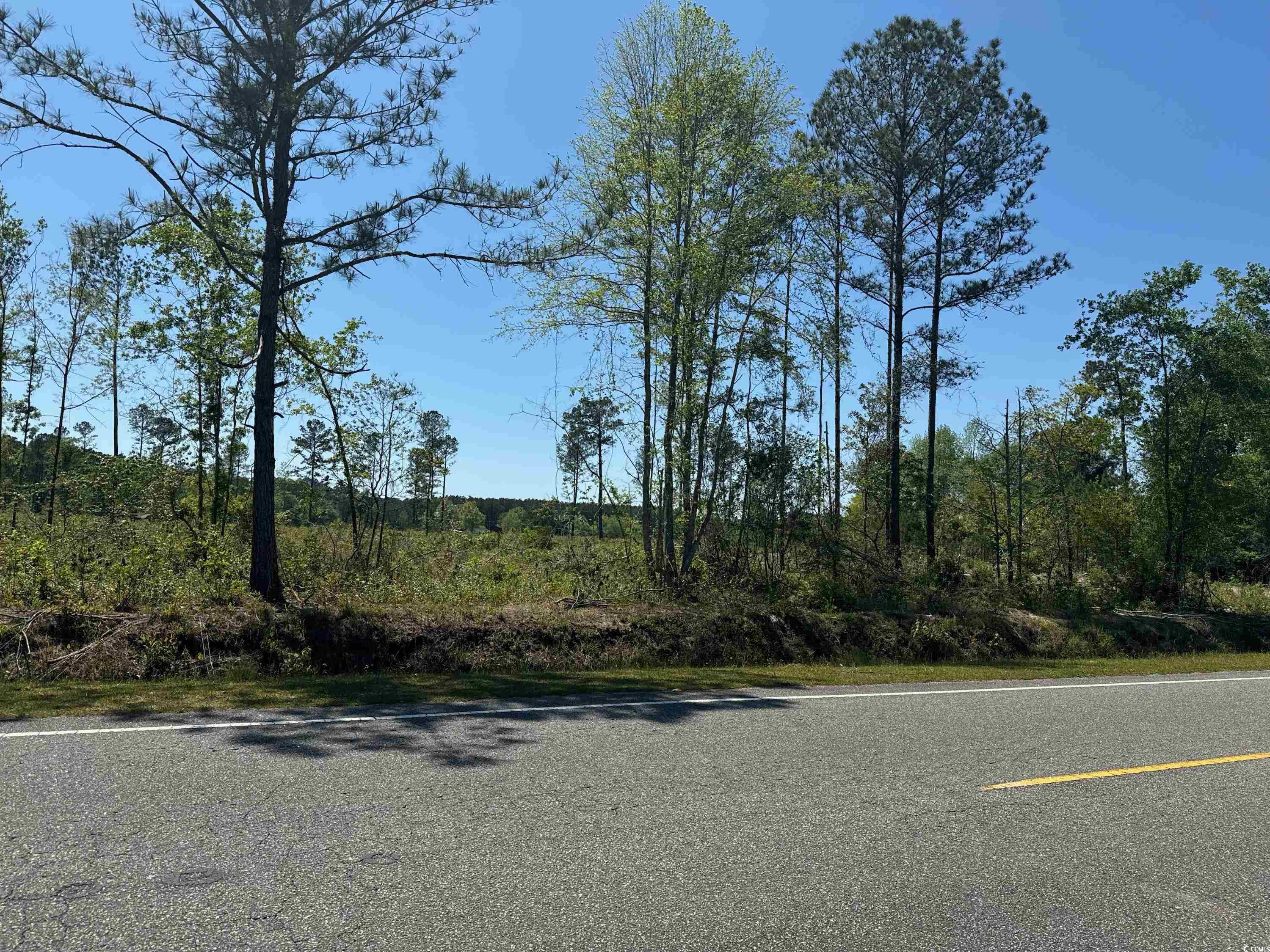 TBD W Bear Grass Rd. Loris, SC 29569