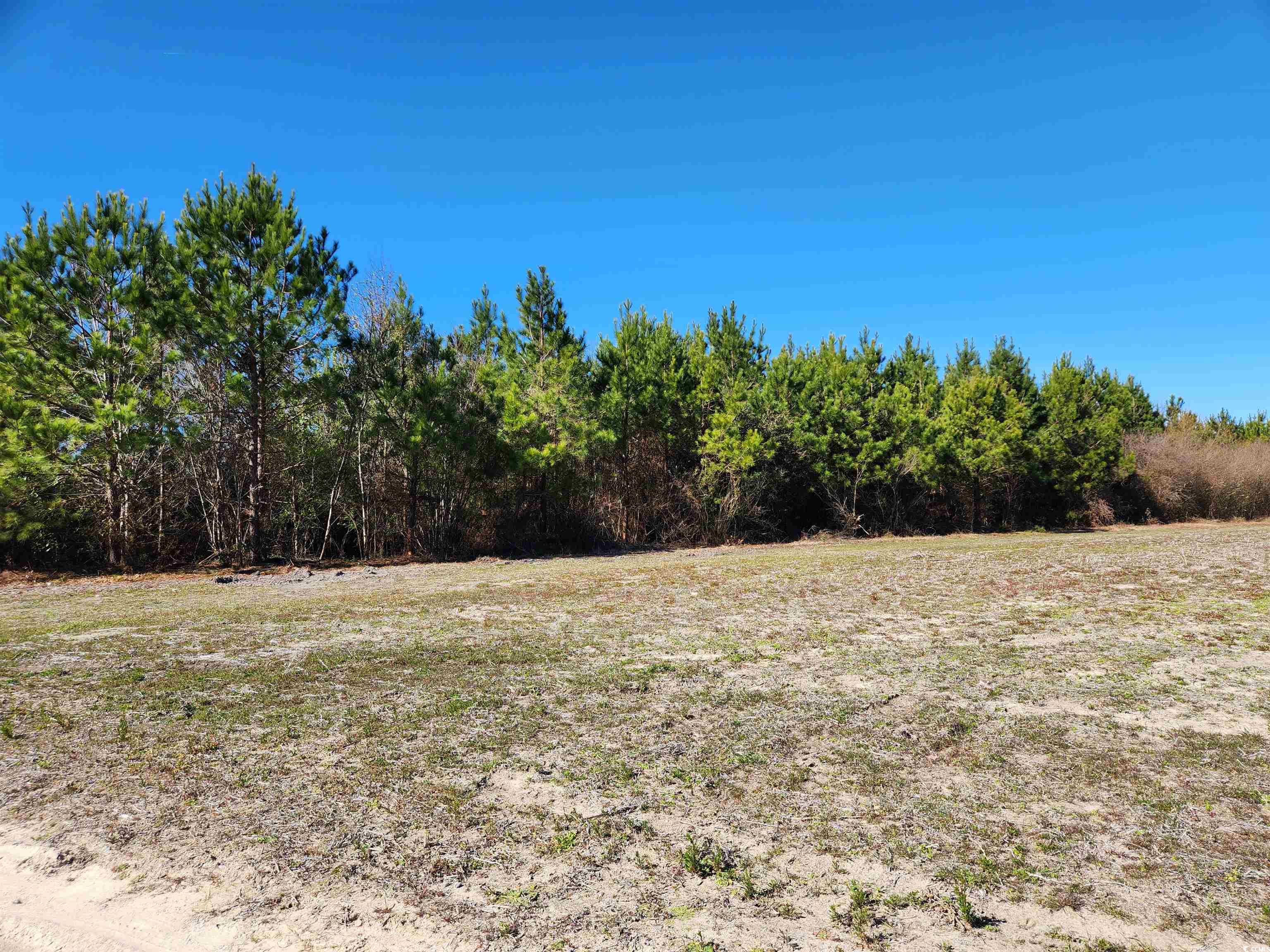 TBD Tansy Rd. Loris, SC 29569