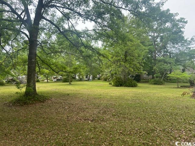 TBD Thrush Ct. Georgetown, SC 29440