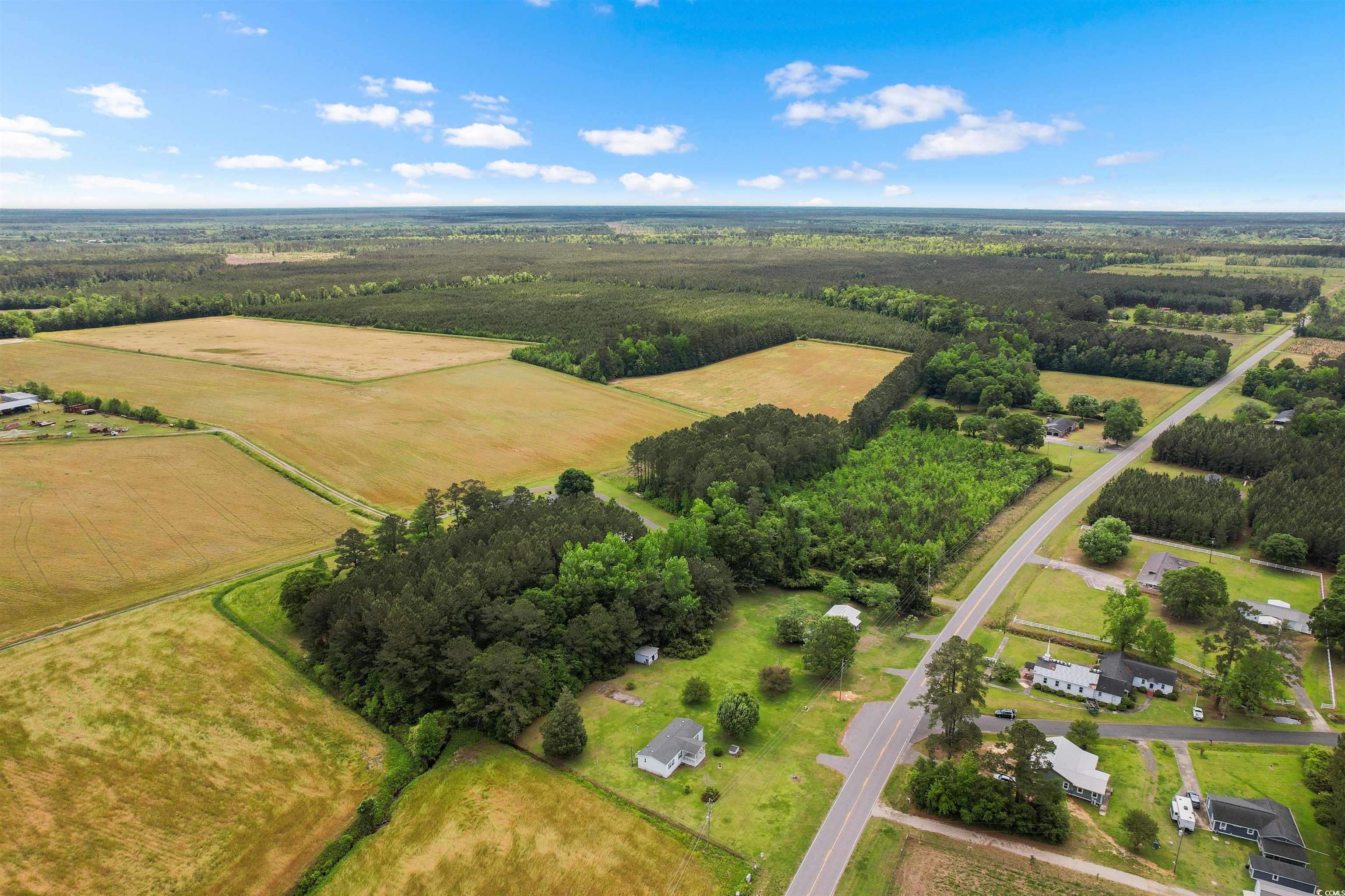 16048 Choppee Rd., Hemingway, South Carolina image 34