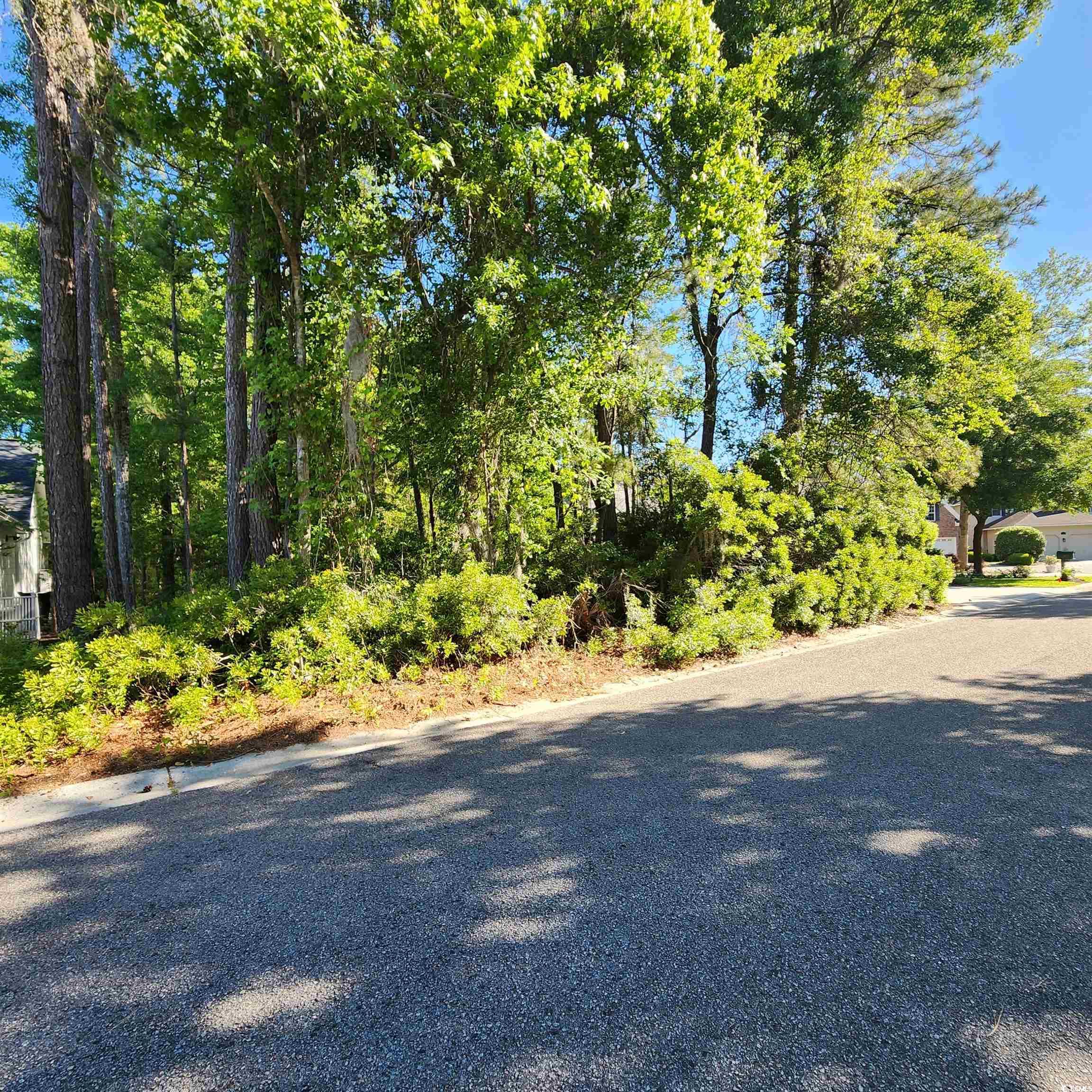 last lot available on pintail ct. quiet cul-de-sac bordered by natural area.  pawleys plantation is a beautiful gated community located on pawleys creek across from the south end of pawleys island.