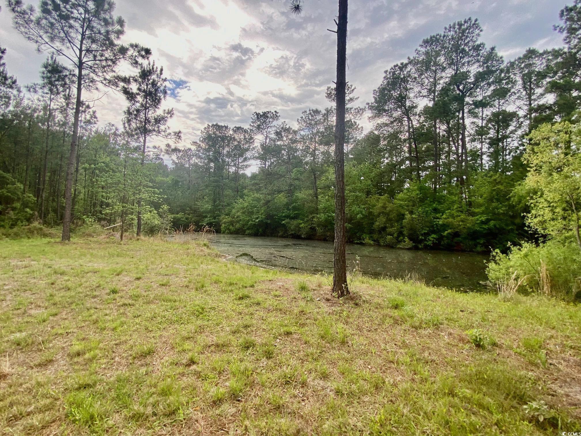 TBD Landolfi Rd. Loris, SC 29569