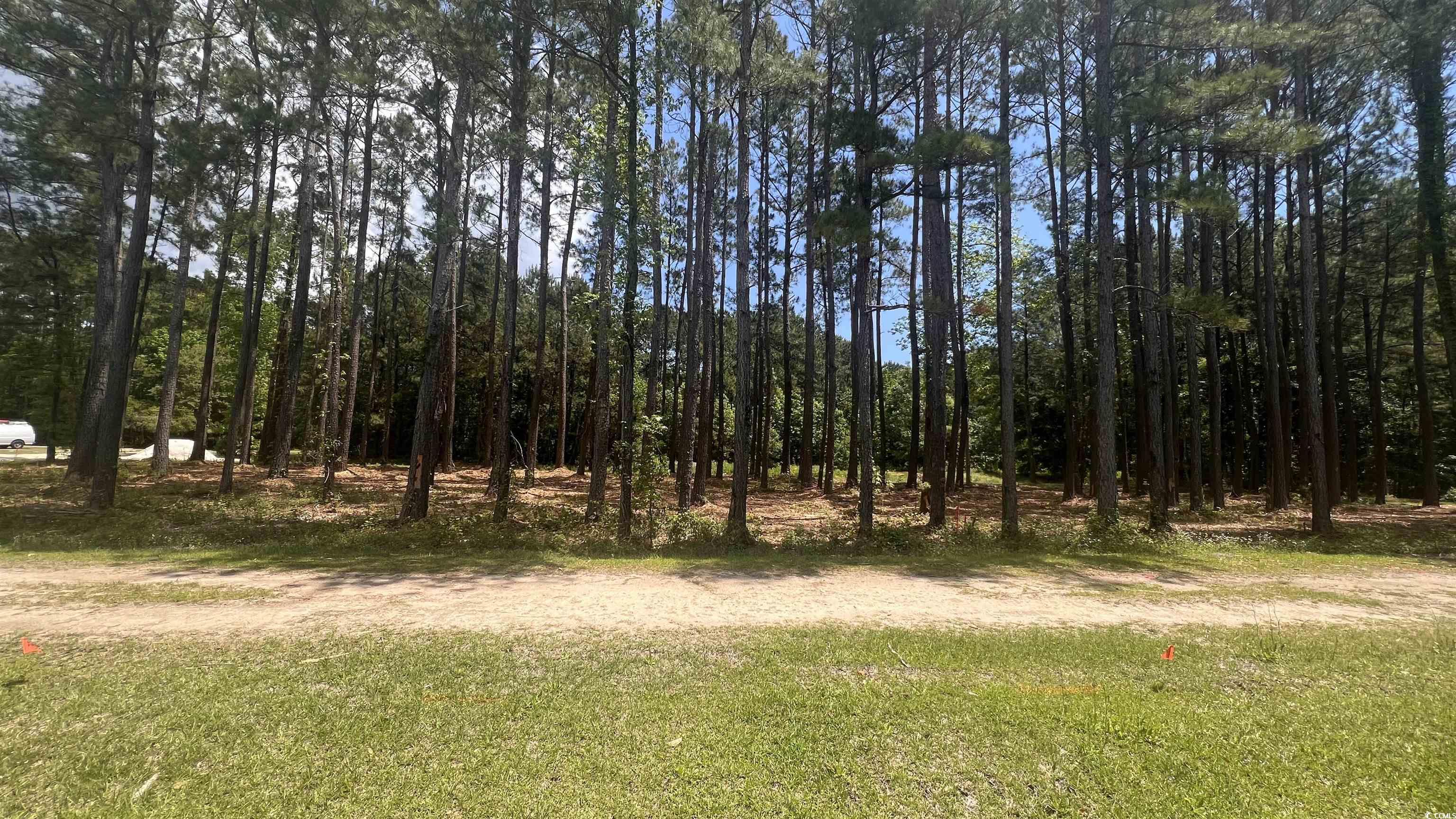 0.46 acres Cotton Patch Rd. Longs, SC 29568