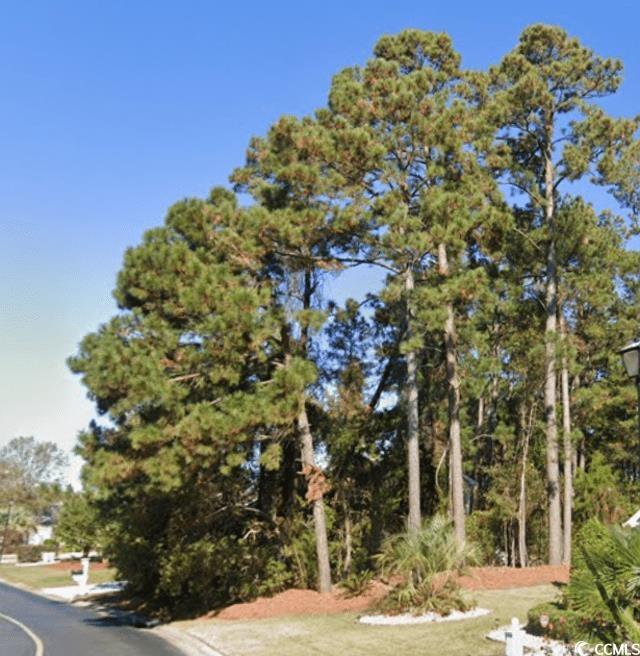 lots are hard to find these days, but your search ends here! this lot nestled in the heart of eastport golf course community and is the perfect homesite for your dream home or a developer for a spec home!  the zoning is gr - general residential - high density development appearing to include apartments and condominiums per the zoning dept at horry county.