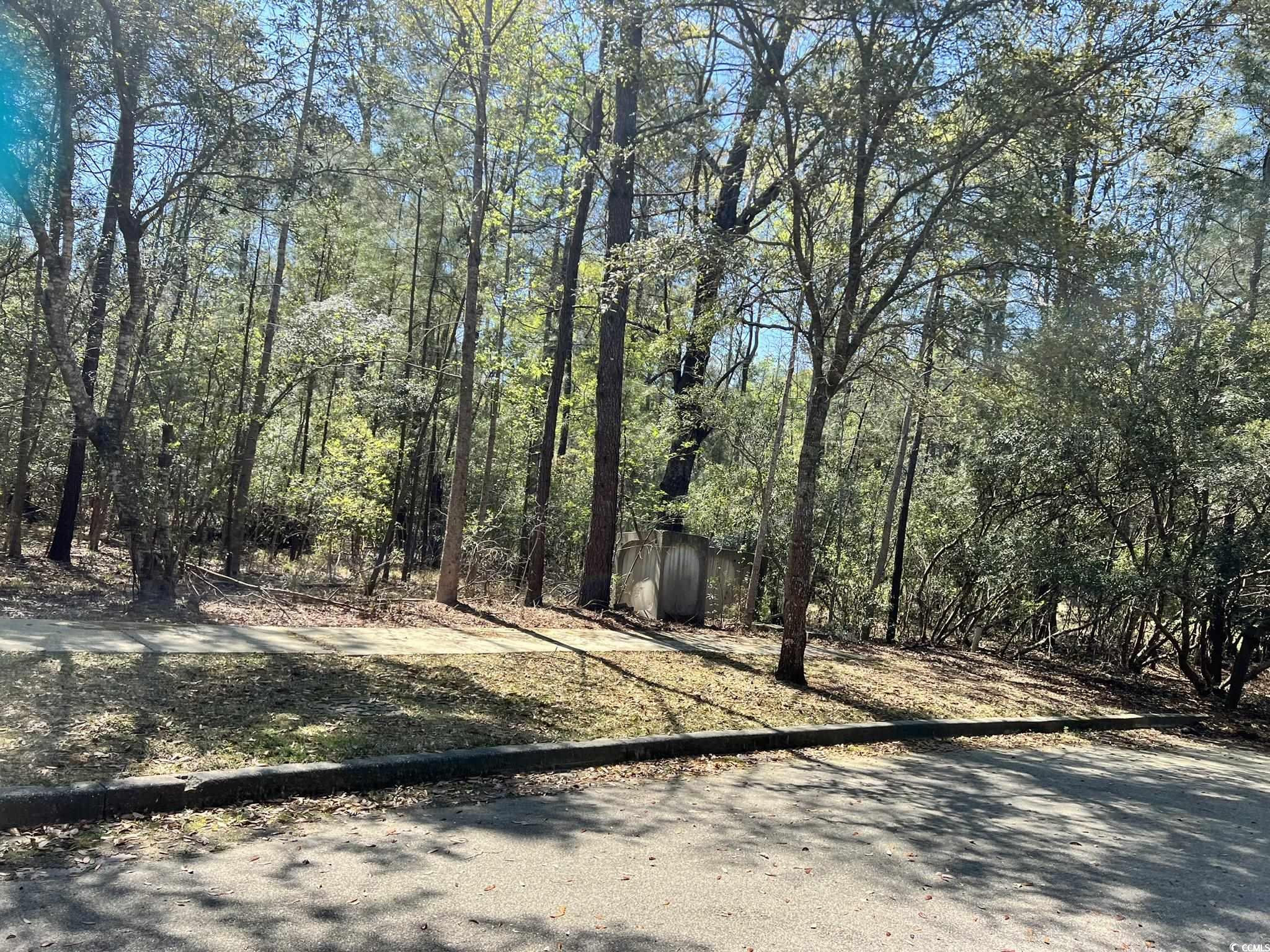 Lot 1061 Duany Dr. Georgetown, SC 29440