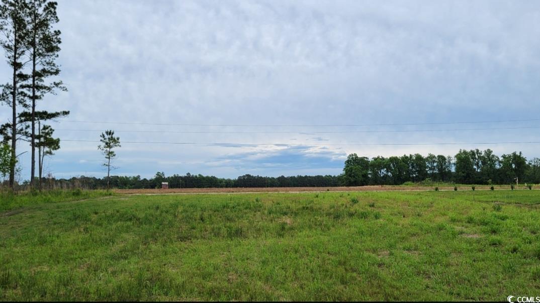 TBD Lawson Rd. Loris, SC 29569