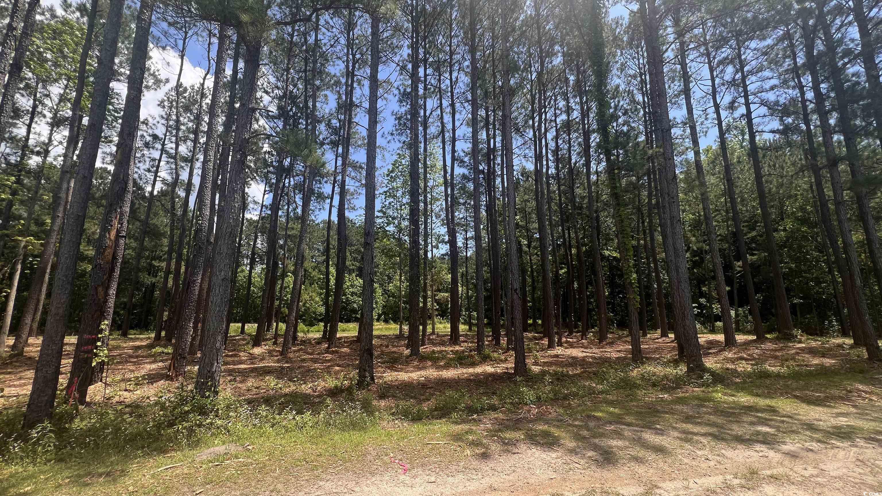 0.44 acres Cotton Patch Rd. Longs, SC 29568