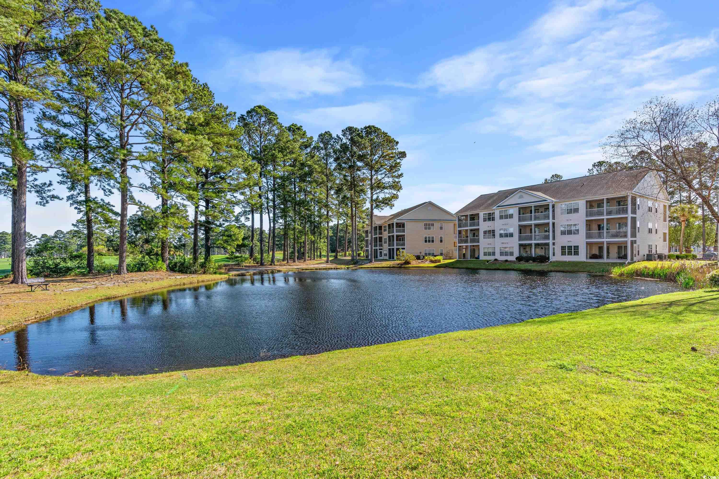 5010 Windsor Green Way #303, Myrtle Beach, South Carolina image 24