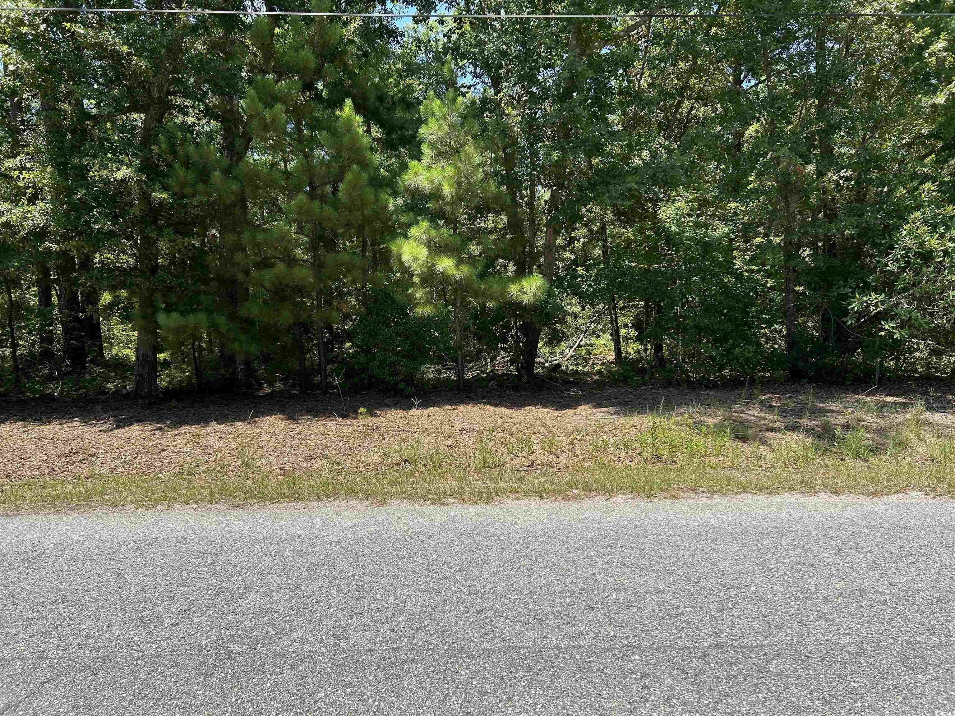 TBD Byrnes Circle Johnsonville, SC 29555