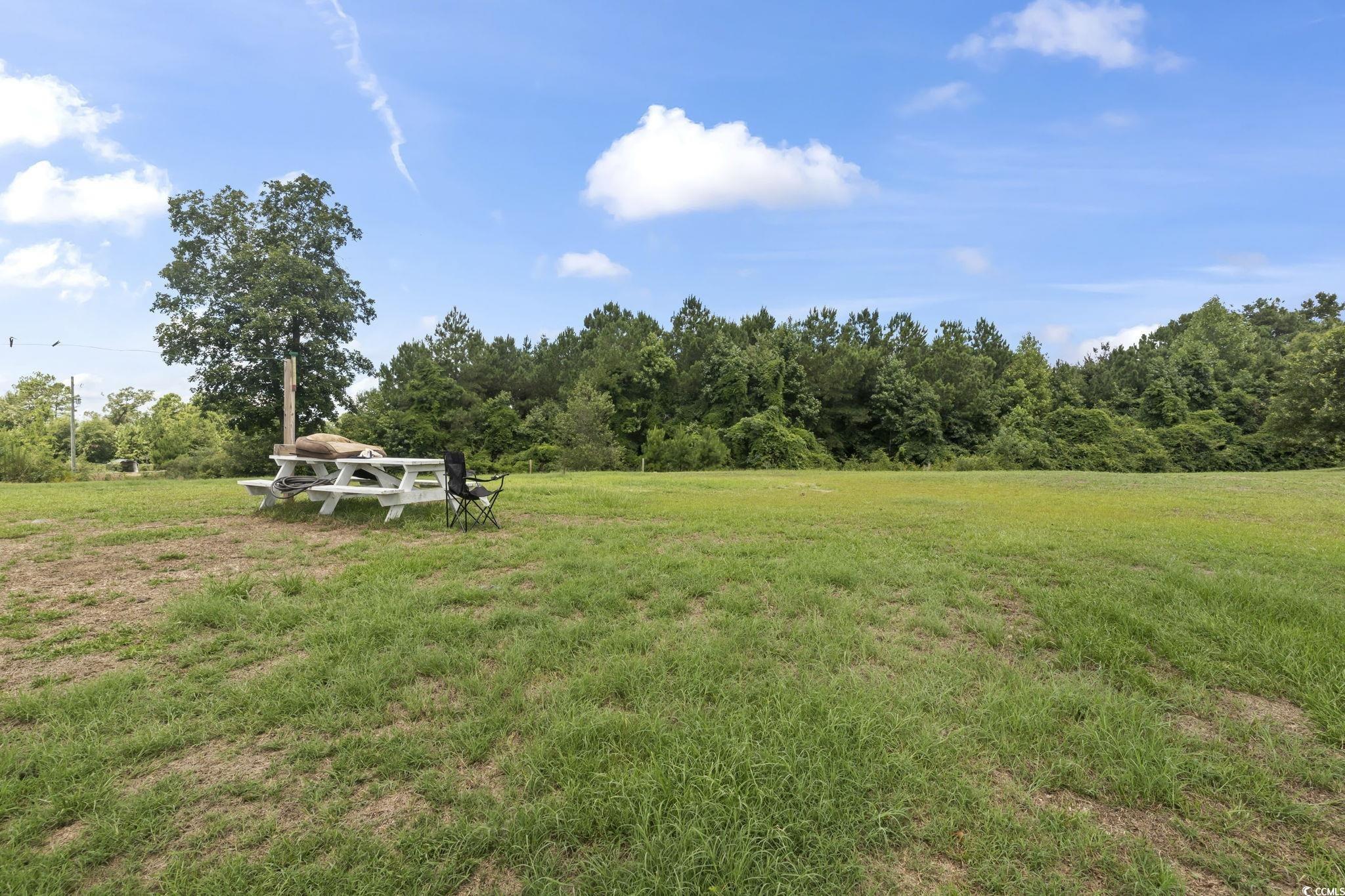 7380 Johnson Shortcut Rd., Conway, South Carolina image 30