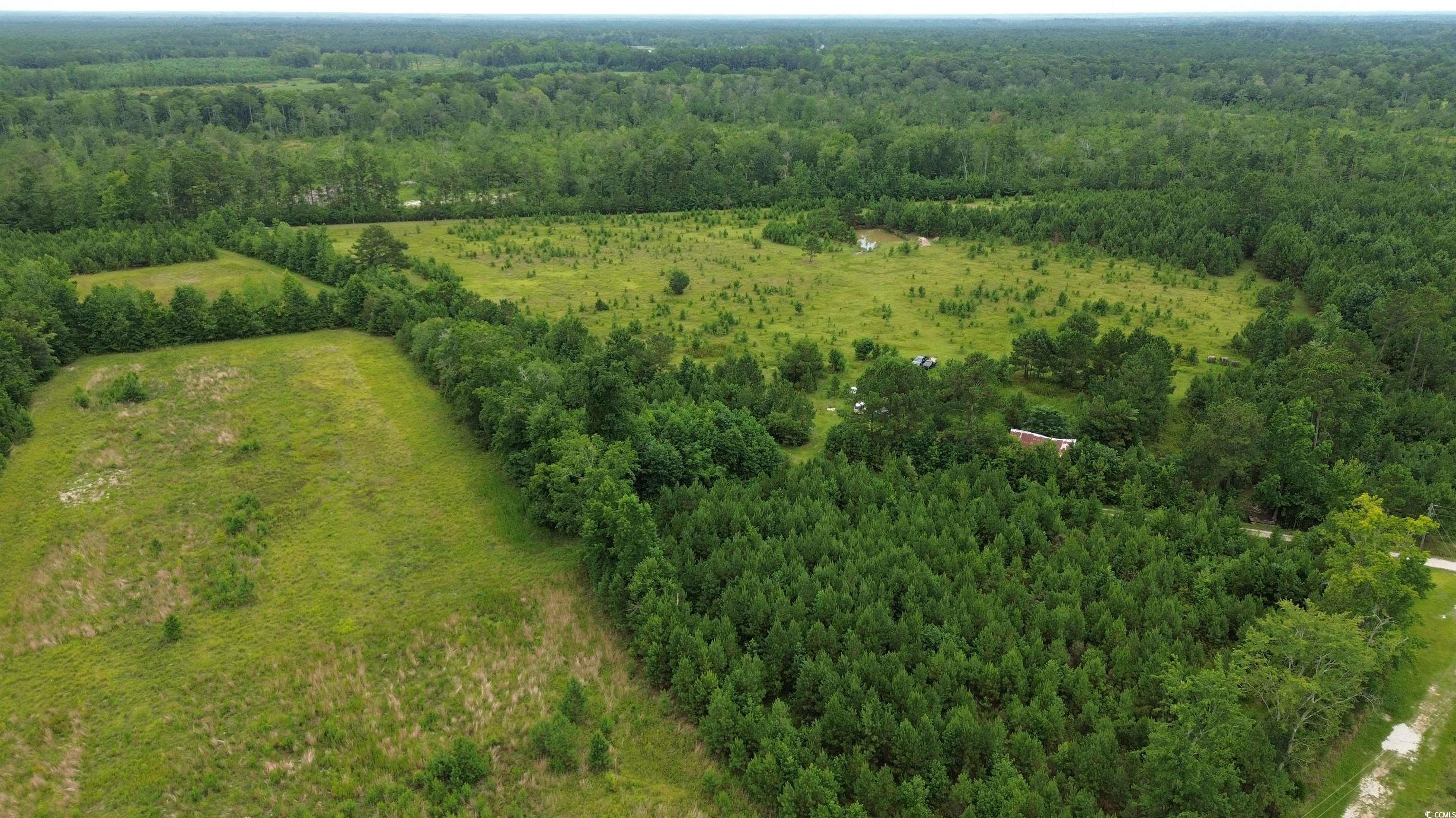 721 Old Buck Creek Rd., Longs, South Carolina image 9