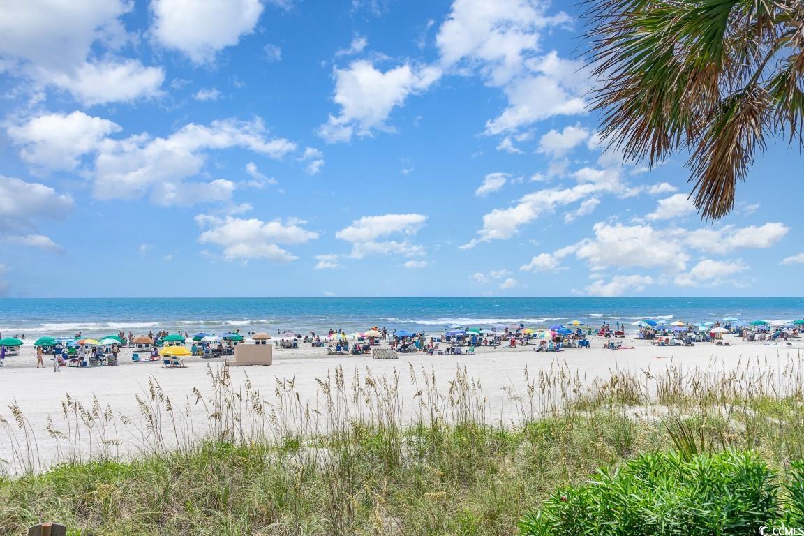 9620 Shore Dr. #303, Myrtle Beach, South Carolina image 28