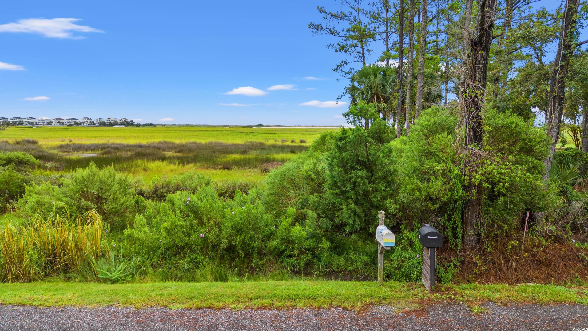 98 Brown Pelican Loop Pawleys Island, SC 29585