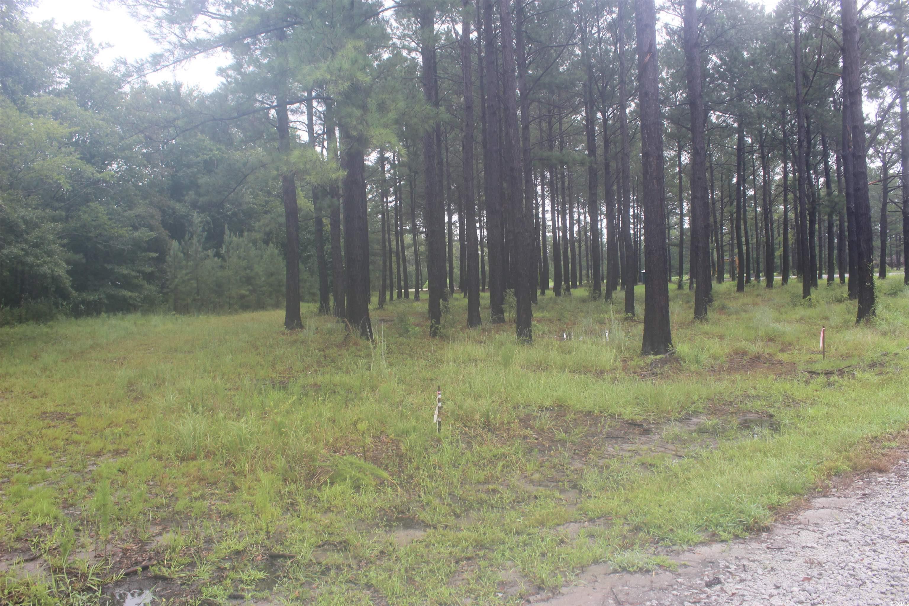 TBD Woodrow Ln. Loris, SC 29569