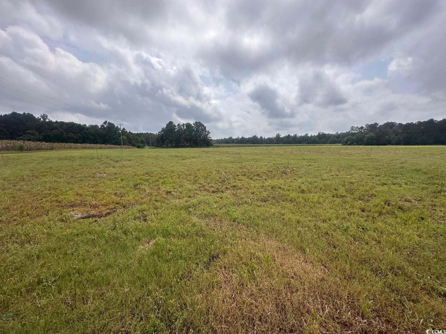 TBD Mack Rd. Conway, SC 29526