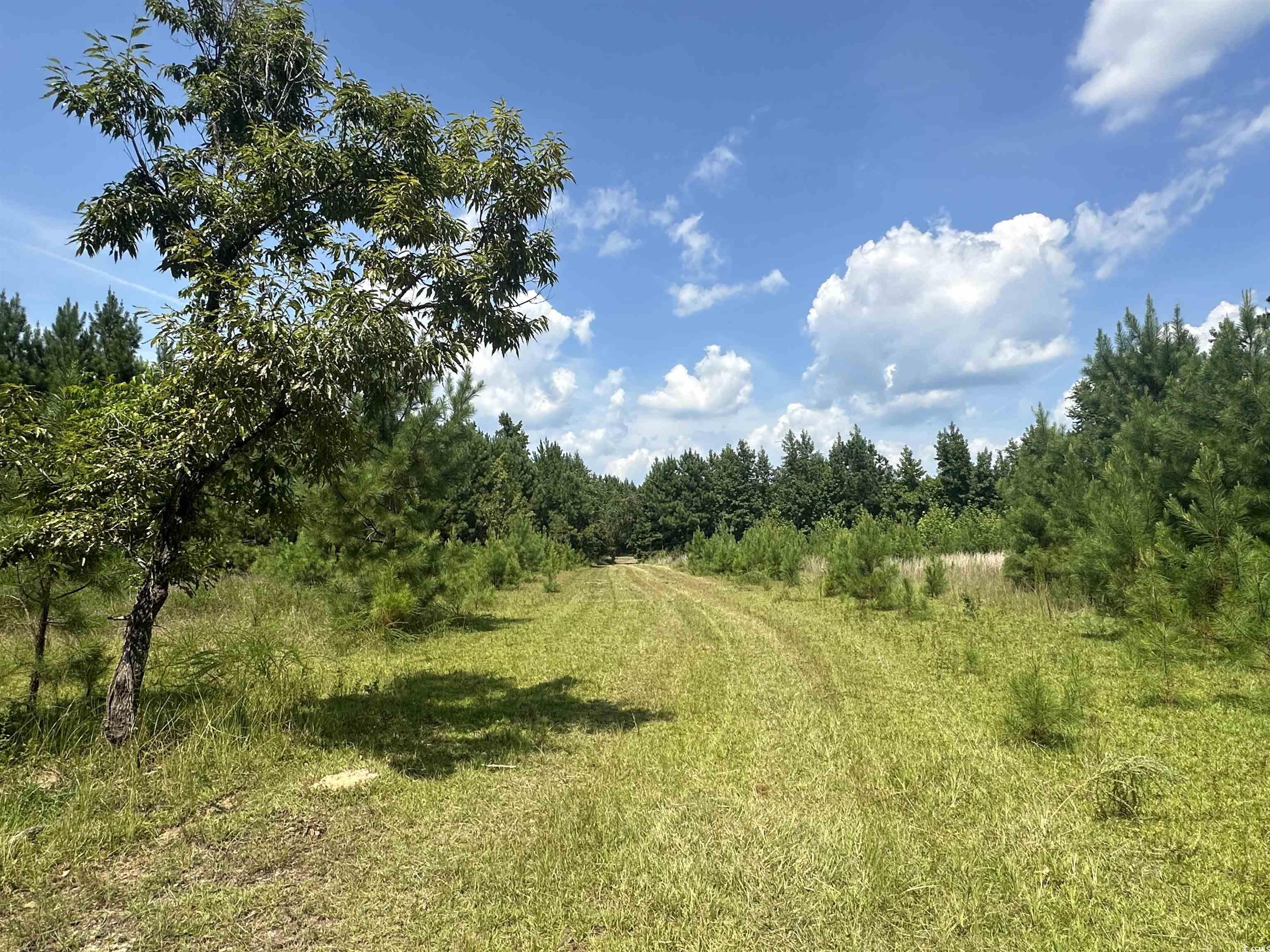 TBD Cantley Landing Rd. Andrews, SC 29510