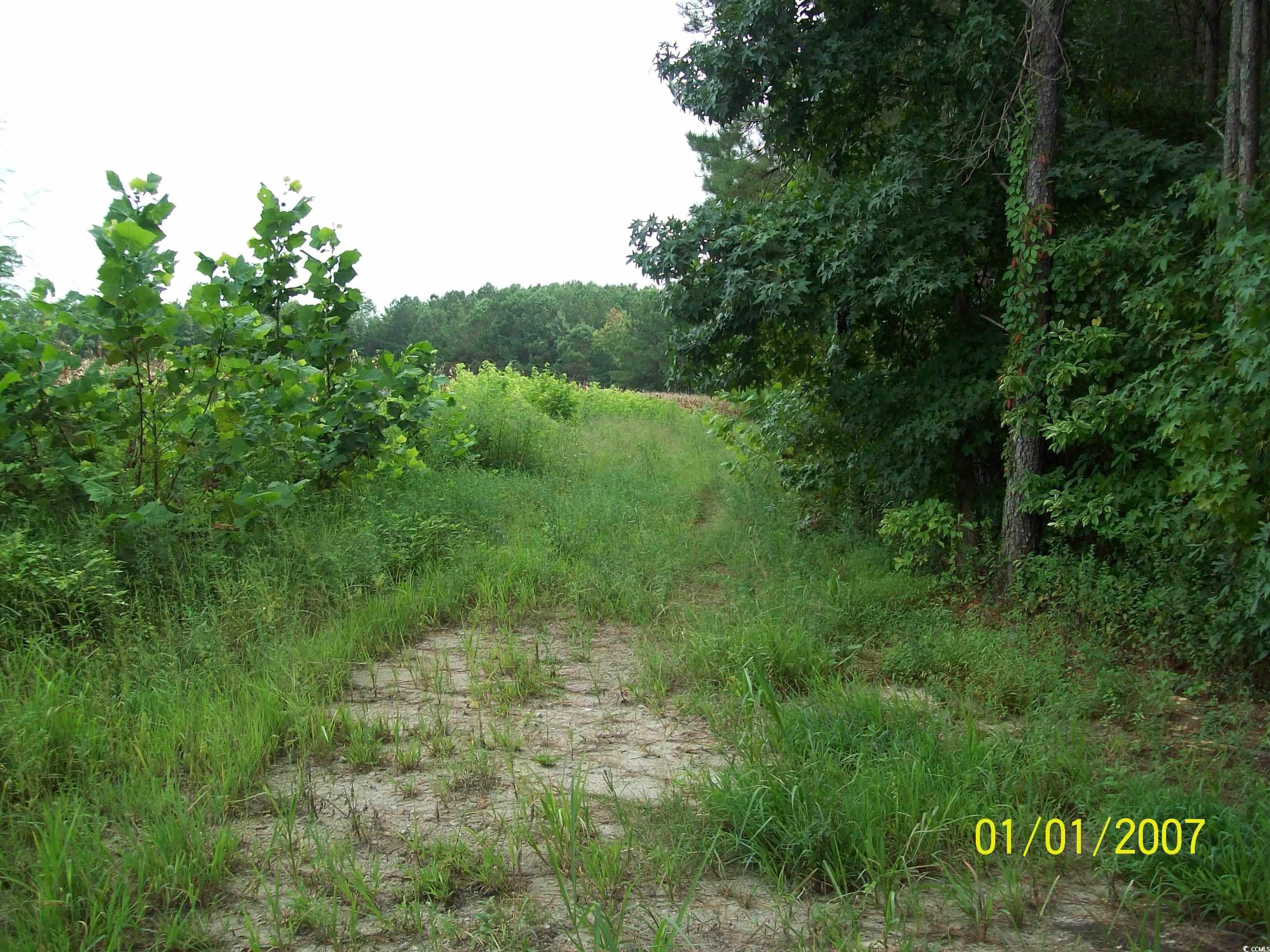 LOT 3 Riverbend Rd. Loris, SC 29569