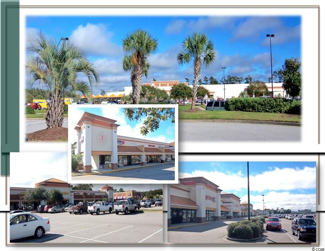units are move-in ready. spaces are available for immediate occupancy!  gator hole plaza is a premier power shopping center located in the midst of the north myrtle beach retail corridor that also features surfwood plaza and coastal north town center. centered in the hub of grand strand retail shopping and is ready to welcome new tenants that are ready to be part of the excitement! gator hole plaza is anchored by walmart which also includes home depot, staples, dollar tree, petco and etc. spaces ranging from approximately 1,950 to 4,500 square feet glass front windows.  rear access to all units. modern architectural design, stylish outdoor fixtures. ample parking 4 way signalized intersection on highway 17 situated on approx. 28 acres high average daily traffic count-46,600  what are you waiting for… start your business today!