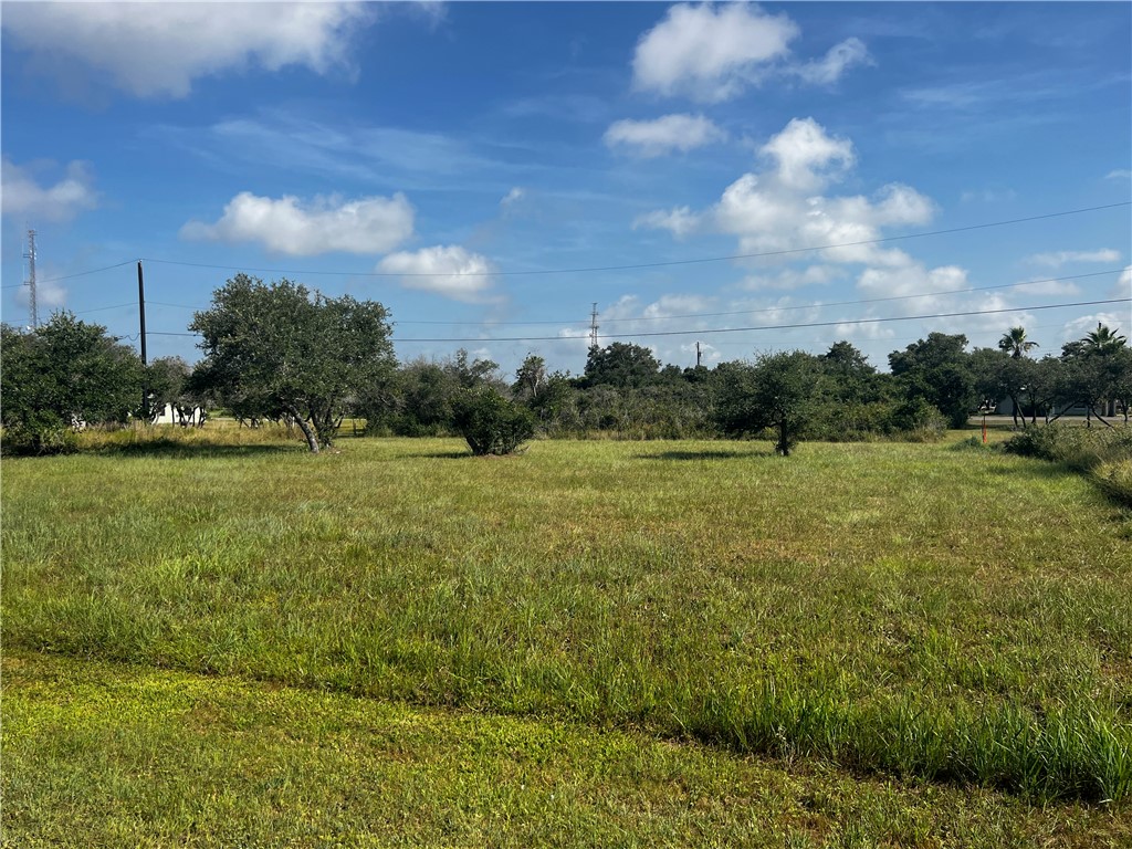 TWO Lots in popular Holiday Beach! Measuring 100 x 100, there is plenty of room to build your next home. Enjoy the membership of Holiday Beach with access to the fishing pier over Copano Bay, a community private boat ramp, a swimming pool, and clubhouse. Located all outside the city but close enough to take advantage of great shopping, art culture, Rockport's Blue Wave Beach, and some of the best eateries on the coast. This all sounds so tempting so take a drive by and call if you would like more information.