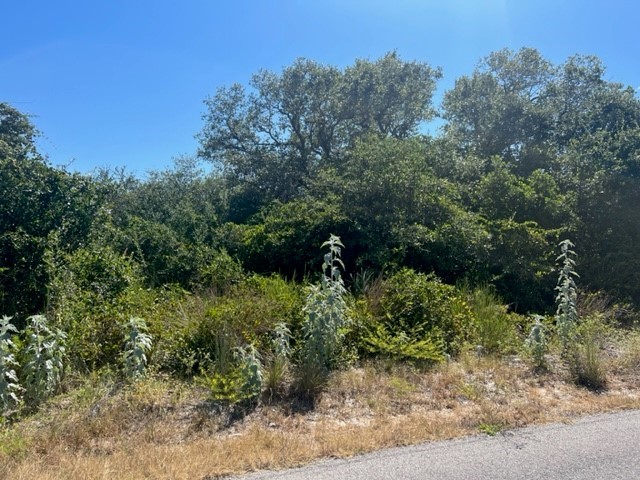 This stunning 2.5-acre parcel nestled in the heart of Aransas Pass. Offering a rare opportunity to own a piece of paradise, this expansive lot presents endless possibilities for crafting the ultimate coastal haven.