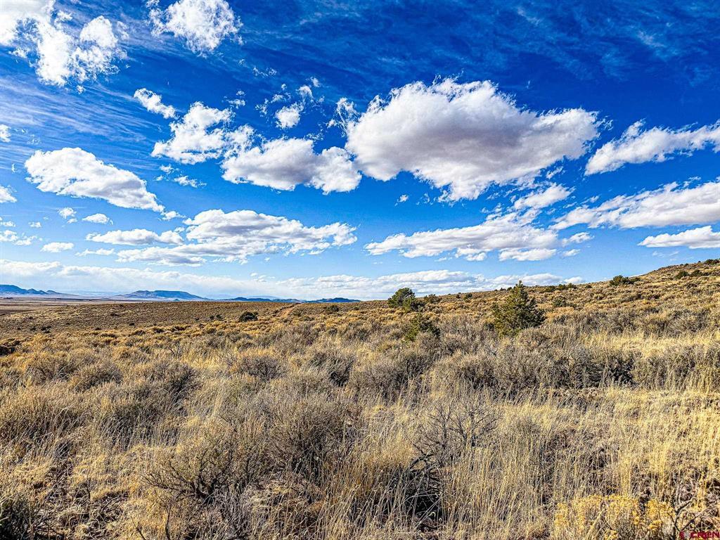 0 Calvary Trail