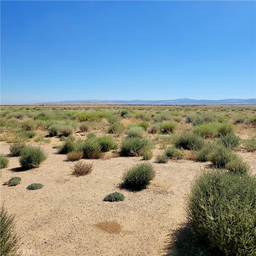 Desert  level land