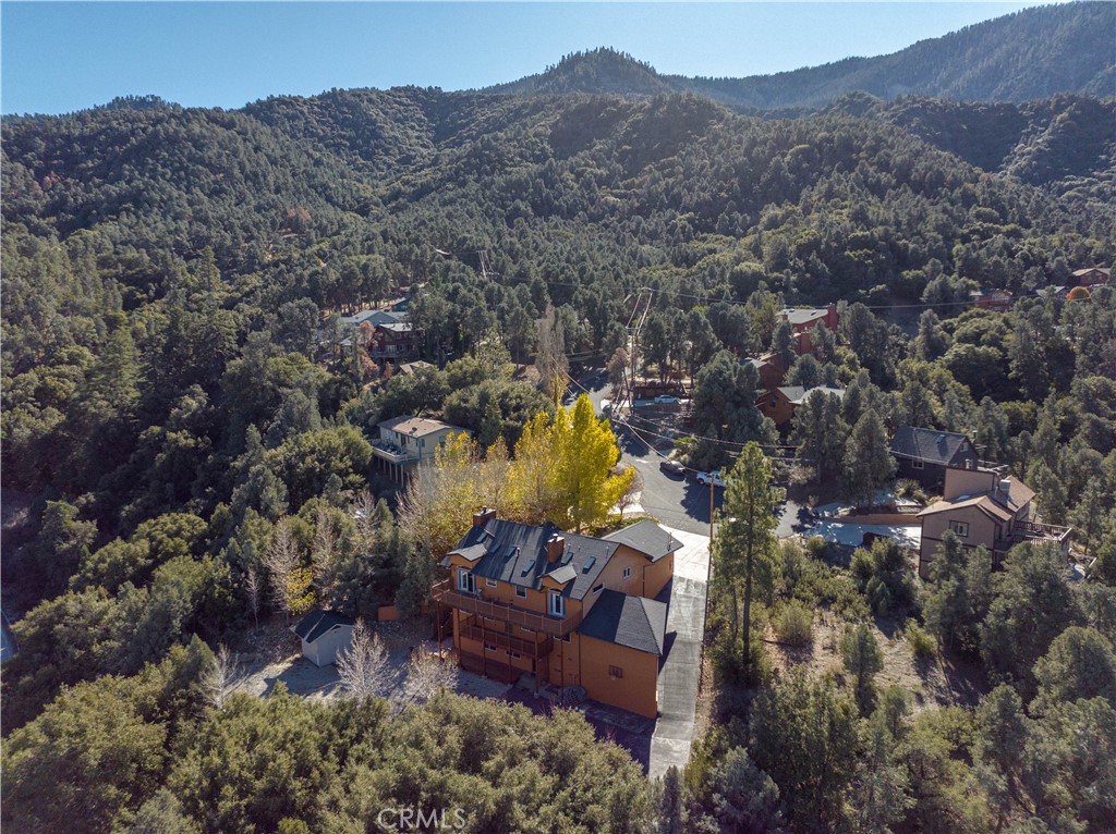 Drone over property