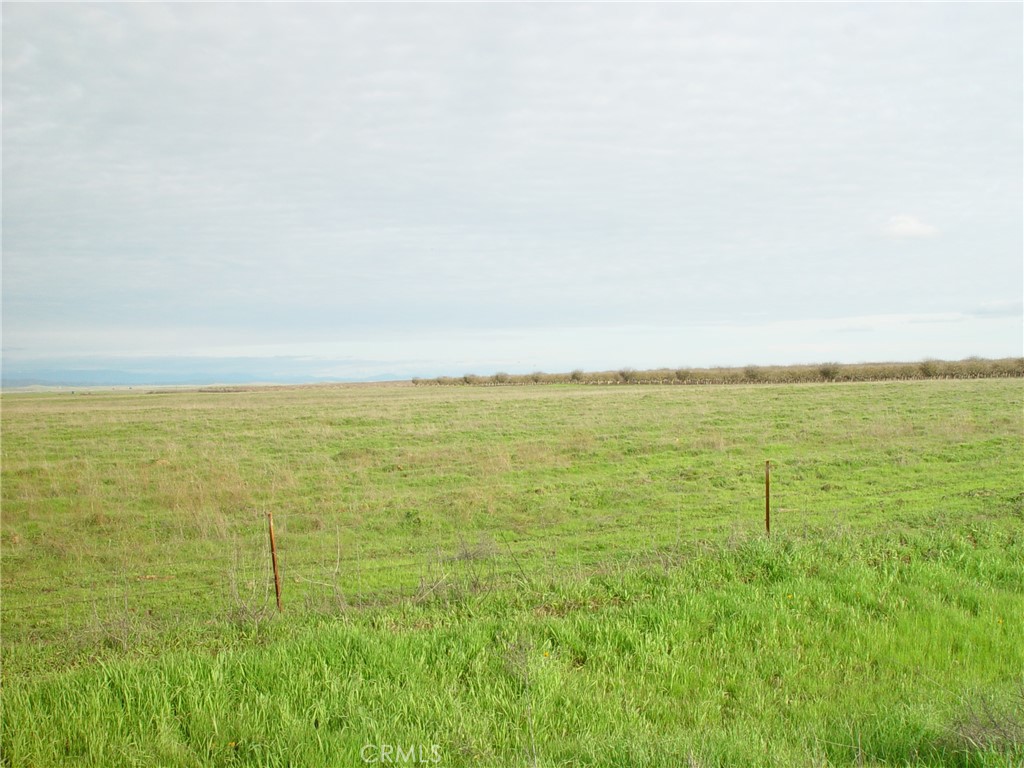 1 Road 26, Chowchilla, Madera, California, 93610, ,Land,For Sale,1 Road 26,MD24045557