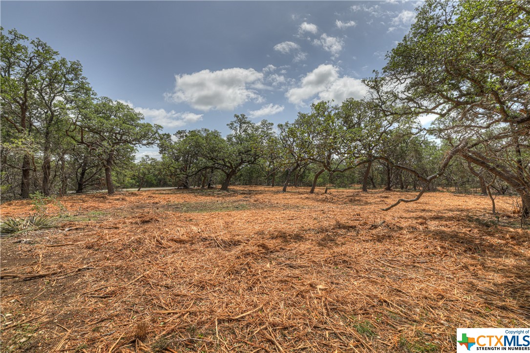 1154 Madrone Road, Fischer, Texas 78623, ,Land,For Sale,Madrone,505166