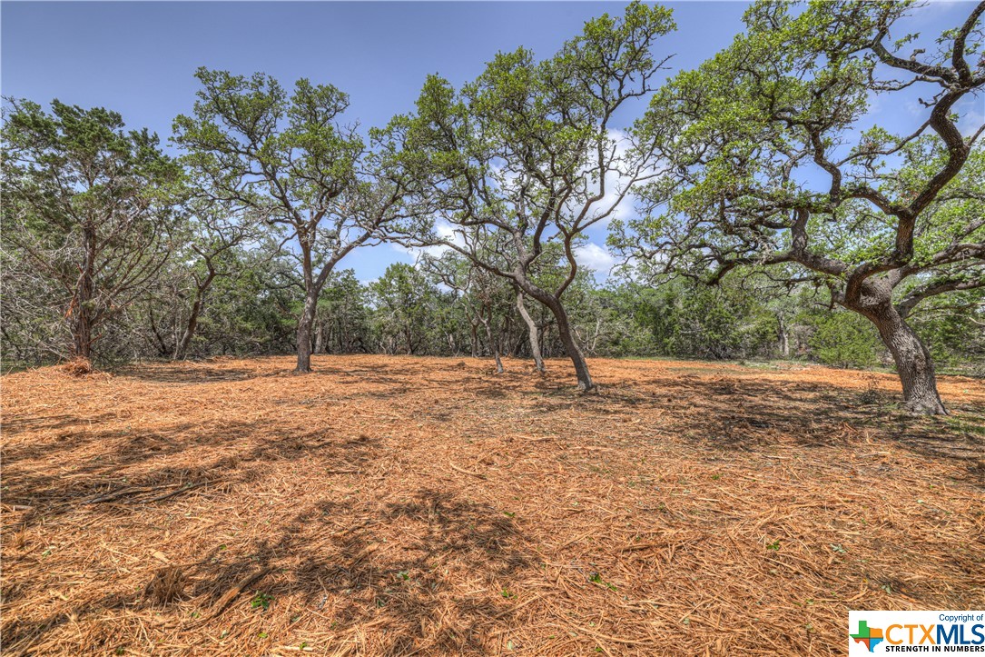 1154 Madrone Road, Fischer, Texas 78623, ,Land,For Sale,Madrone,505166