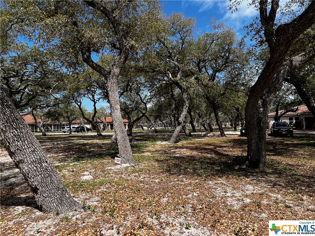 1301-B Royal Oaks Trail, Fulton, Texas image 1
