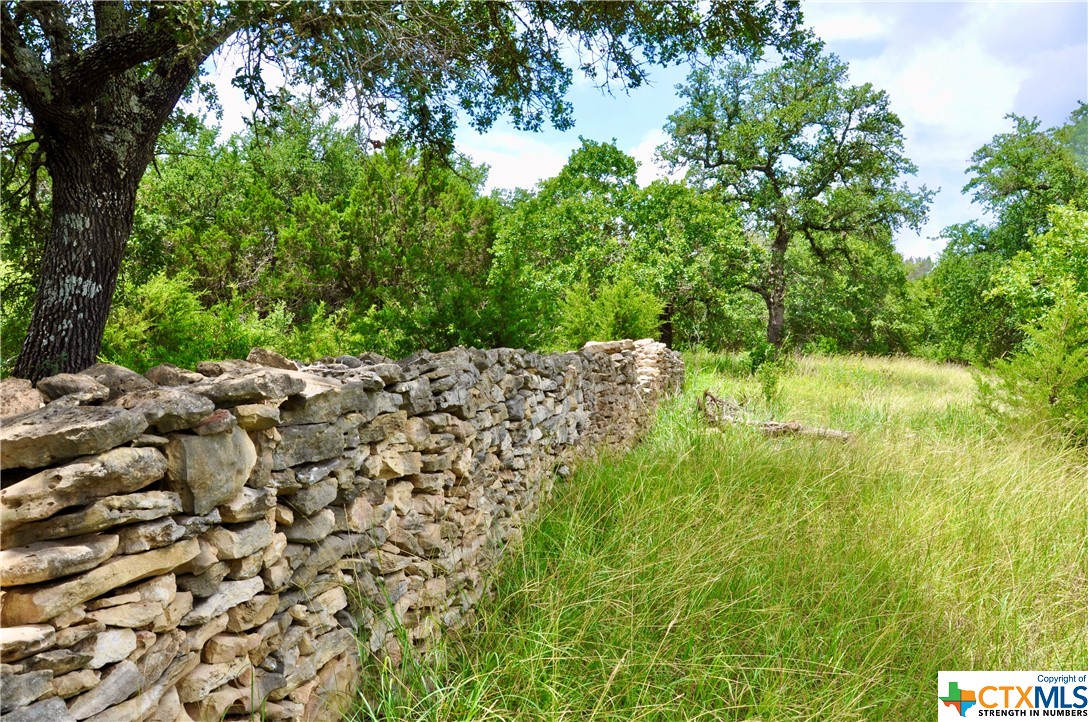 350 Lone Spur Lane, Driftwood, Texas image 35
