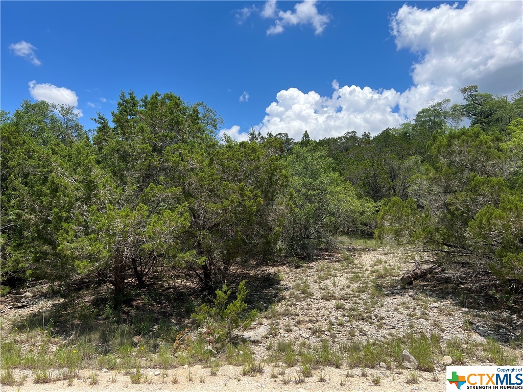 Photo of TBD Contour- Lot 14 & 15, Spring Branch, TX 78070