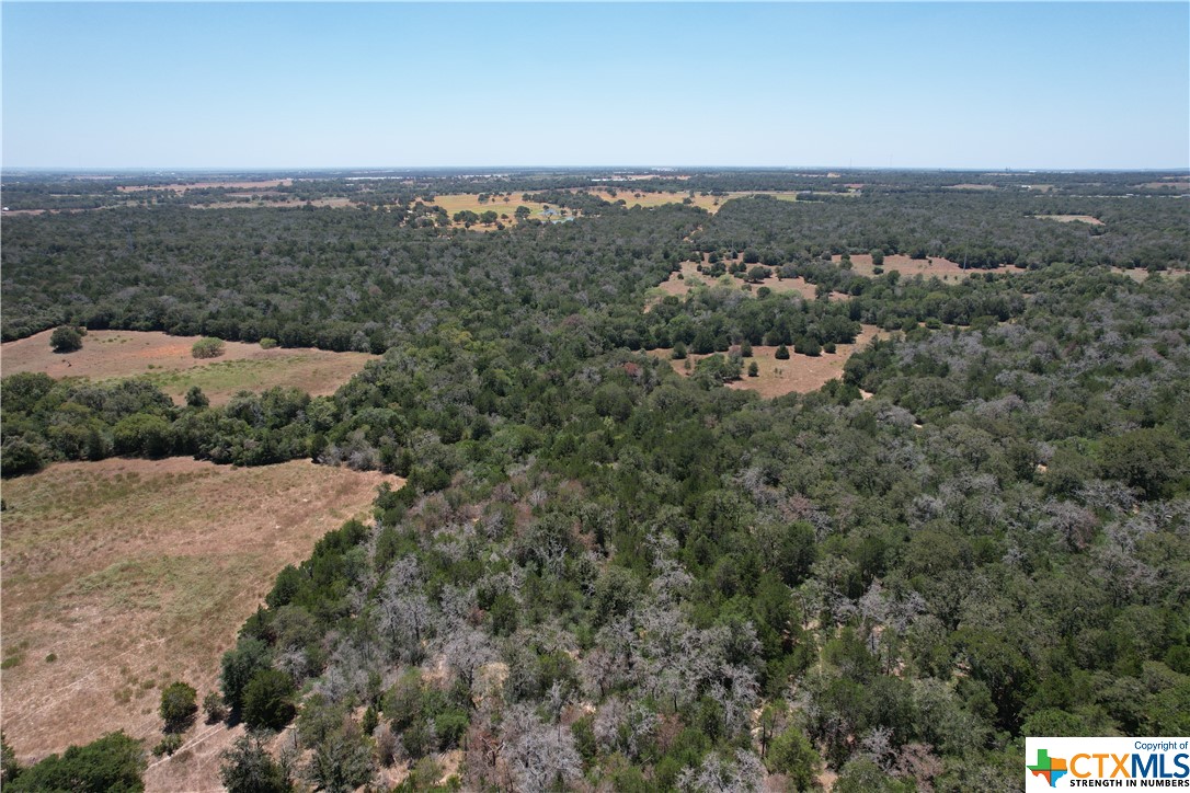 000 Pr Off Of County Road 463, Harwood, Texas image 11