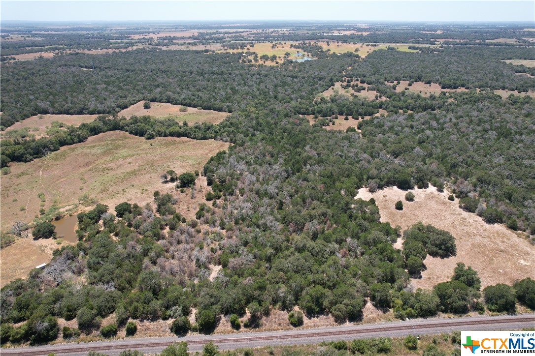 000 Pr Off Of County Road 463, Harwood, Texas image 3