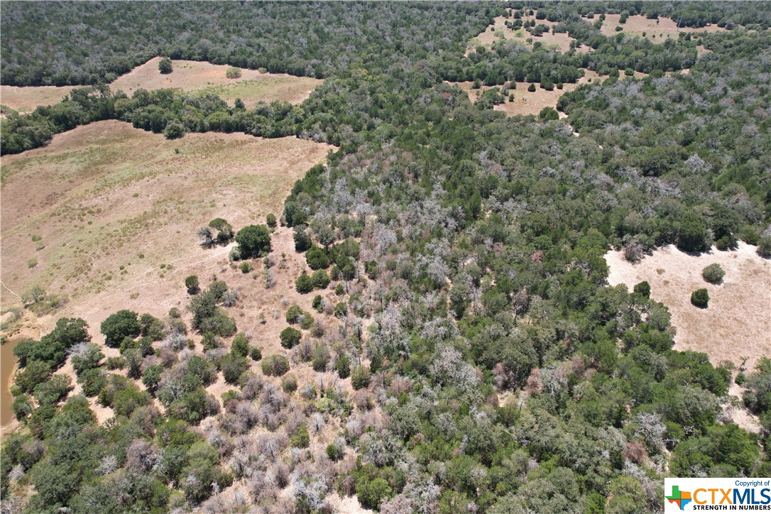 000 Pr Off Of County Road 463, Harwood, Texas image 8