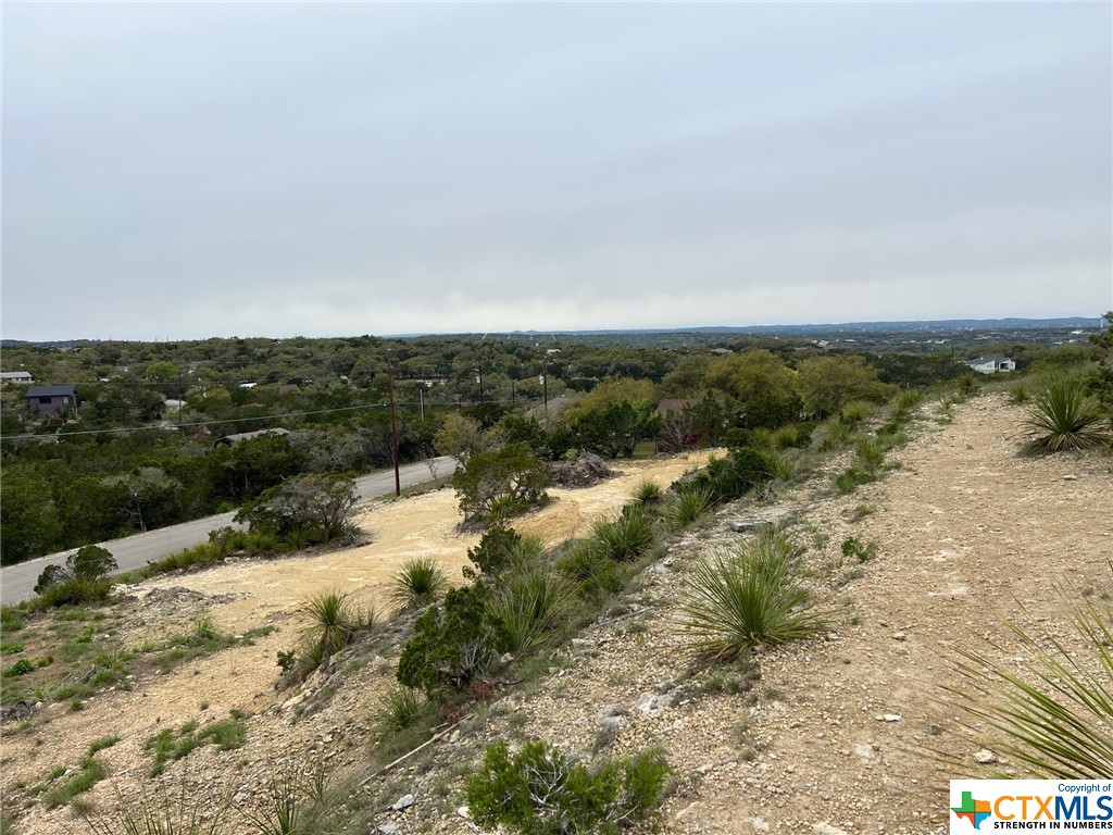 462 Ledgeview Drive, Canyon Lake, Texas 78133, ,Land,For Sale,Ledgeview,518241