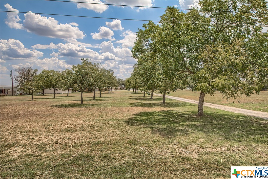 1645 Sagebiel Road, Seguin, Texas image 47