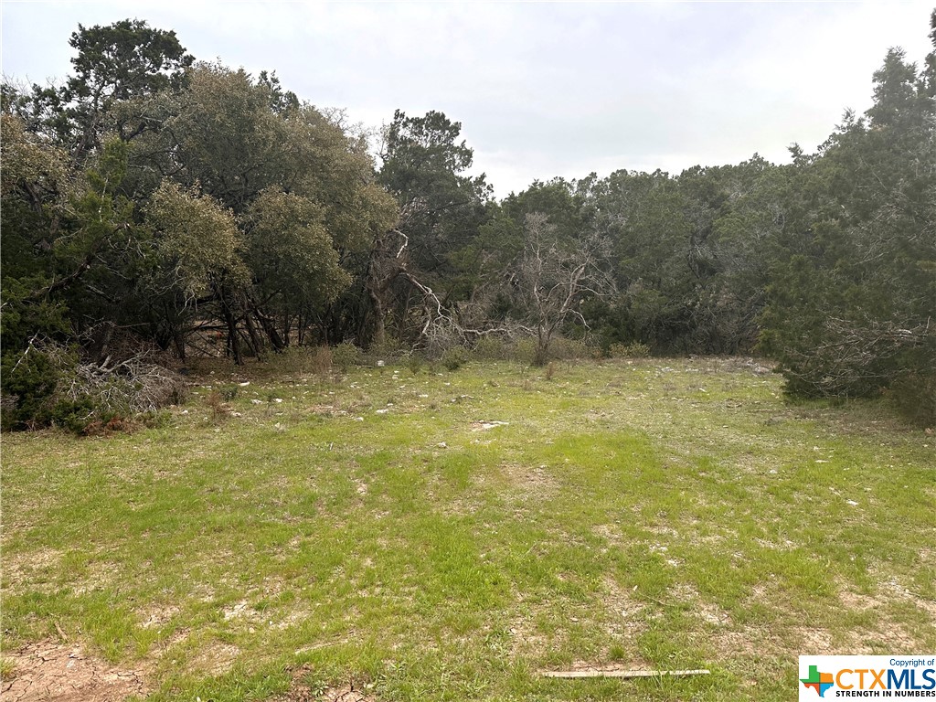 1145 Whispering Hills Drive, Canyon Lake, Texas 78133, ,Land,For Sale,Whispering Hills,535490