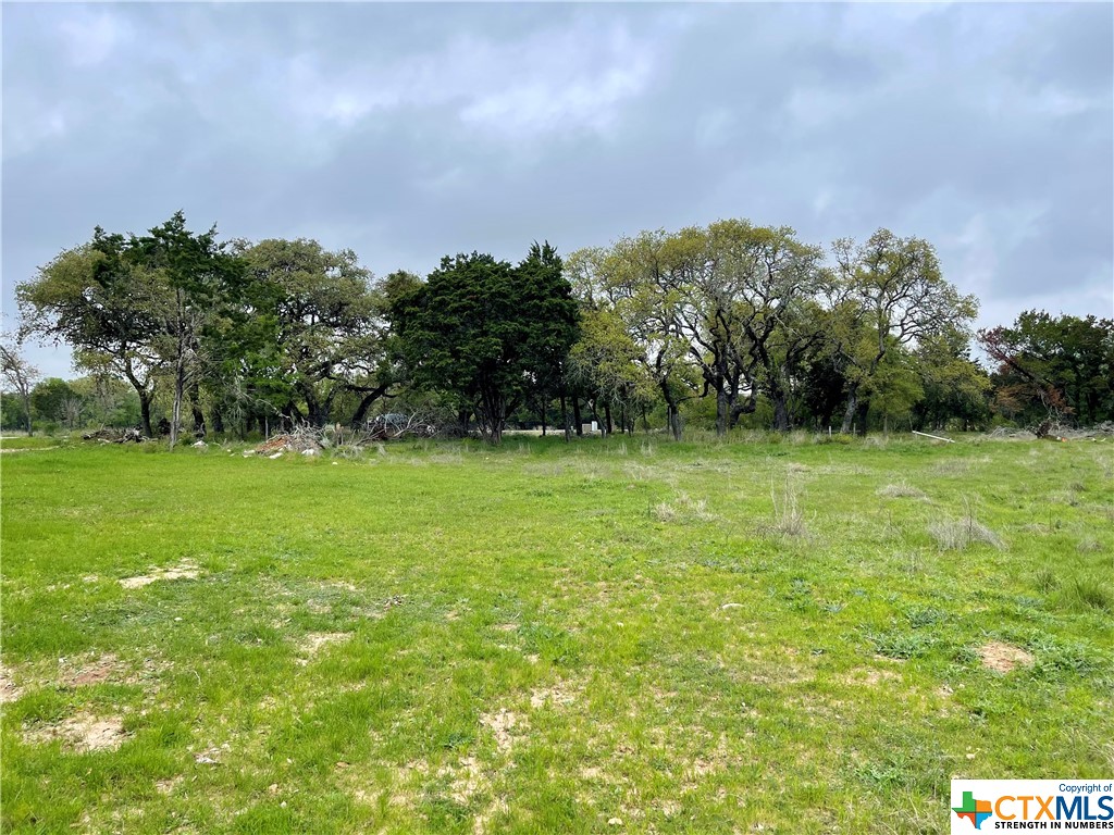 2652 Trophy Point, New Braunfels, Texas 78132, ,Land,For Sale,Trophy,536316