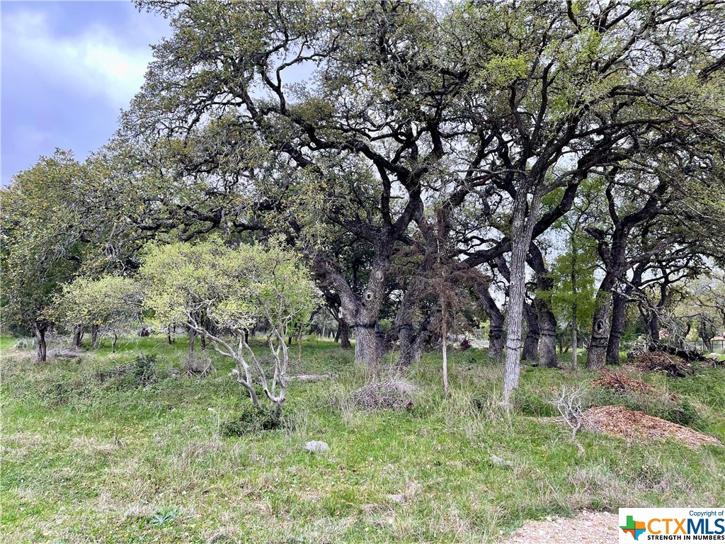 2652 Trophy Point, New Braunfels, Texas 78132, ,Land,For Sale,Trophy,536316