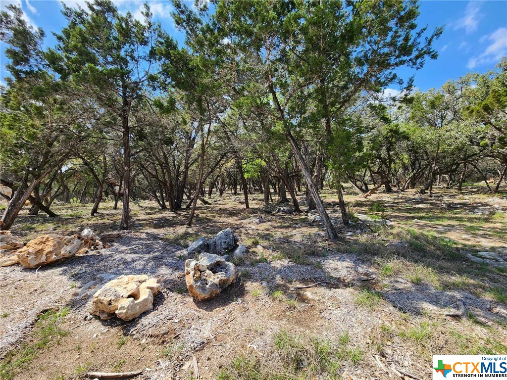 Lot 19 Forest Lake Drive, Spring Branch, Texas 78070, ,Land,For Sale,Forest Lake,537452