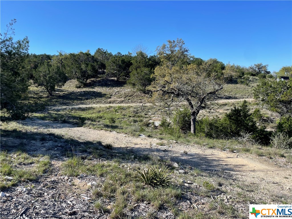 838 Rutherford, Fischer, Texas 78623, ,Land,For Sale,Rutherford,538423