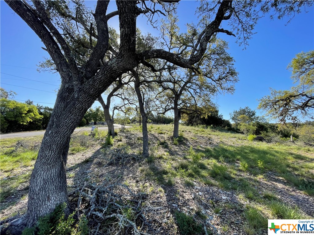 838 Rutherford, Fischer, Texas 78623, ,Land,For Sale,Rutherford,538423