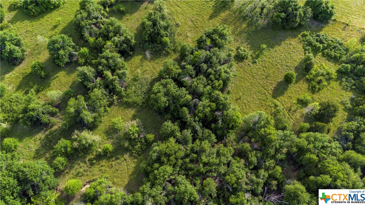 Discover the endless possibilities on +/- 34 acres of prime land in Cameron, Texas! Looking for privacy? Looking for land with beautiful mature trees? This is it! Nestled in the trees, it's the perfect spot for building your dream home and/ or your ranching needs. Yet it's close to CR 485 making it very convenient.
