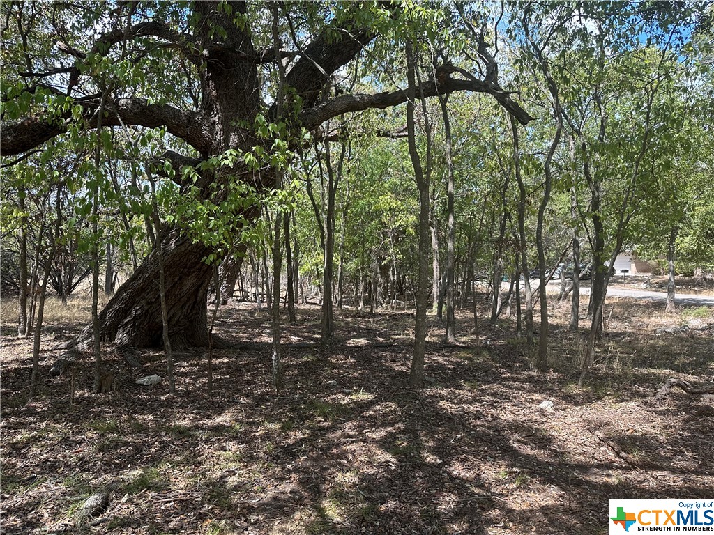 JUST CLEARED - IT LOOKS PHENOMENAL!! An oversized (double) lot ready for your dream home! This property boasts fantastic trees sprinkled throughout along with great buildability. Water and electricity available. Located in the BOOMING and beautiful Morgans Point Resort! Come see it while you can!