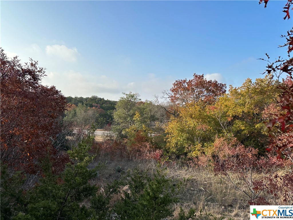 Beautiful wooded homesite! Nice elevations, mature trees, and frontage along CR 334 and St Hwy 36. 
2.335ac tract includes water meter with an acceptable contract, electric at the street and ready to go. 
Minimal restrictions allowing manufactured or site built homes. 
Located in Flat, about halfway between Temple and Gatesville.