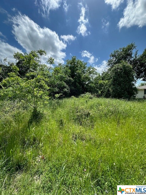 Come see this almost half acre lot in Tahitian Village just waiting for your new build in Bastrop, Tx.  Within close proximity to the Colorado River and all the area has to offer including hiking, paddling, fishing and more!  Only a 45 min drive to downtown Austin!  Owner financing available! Drive out and have a look today!